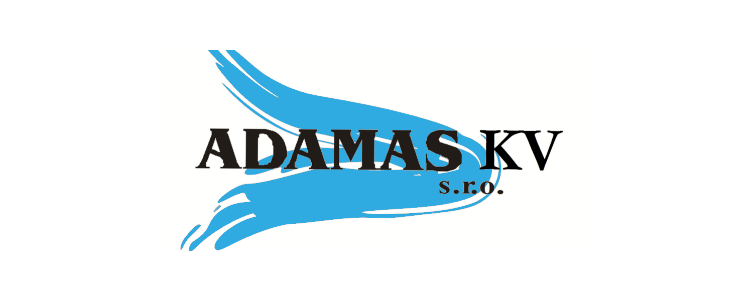 Primary Raster logo